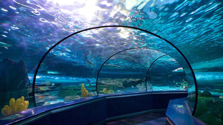 Ripley's Aquarium of Myrtle Beach