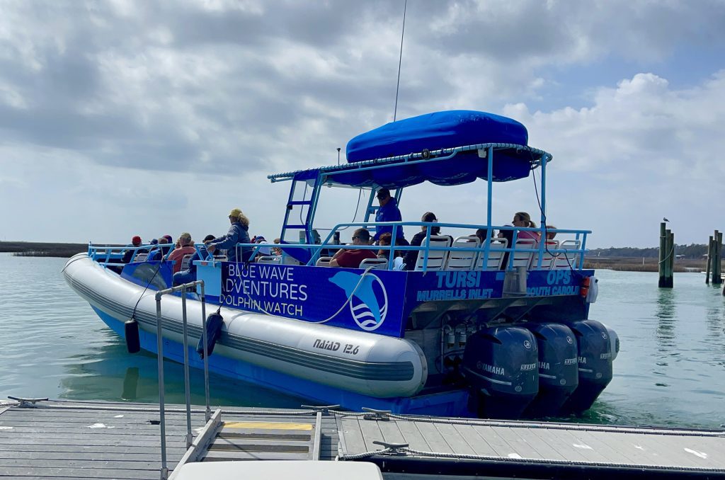 Blue Wave Adventures Dolphin Cruise