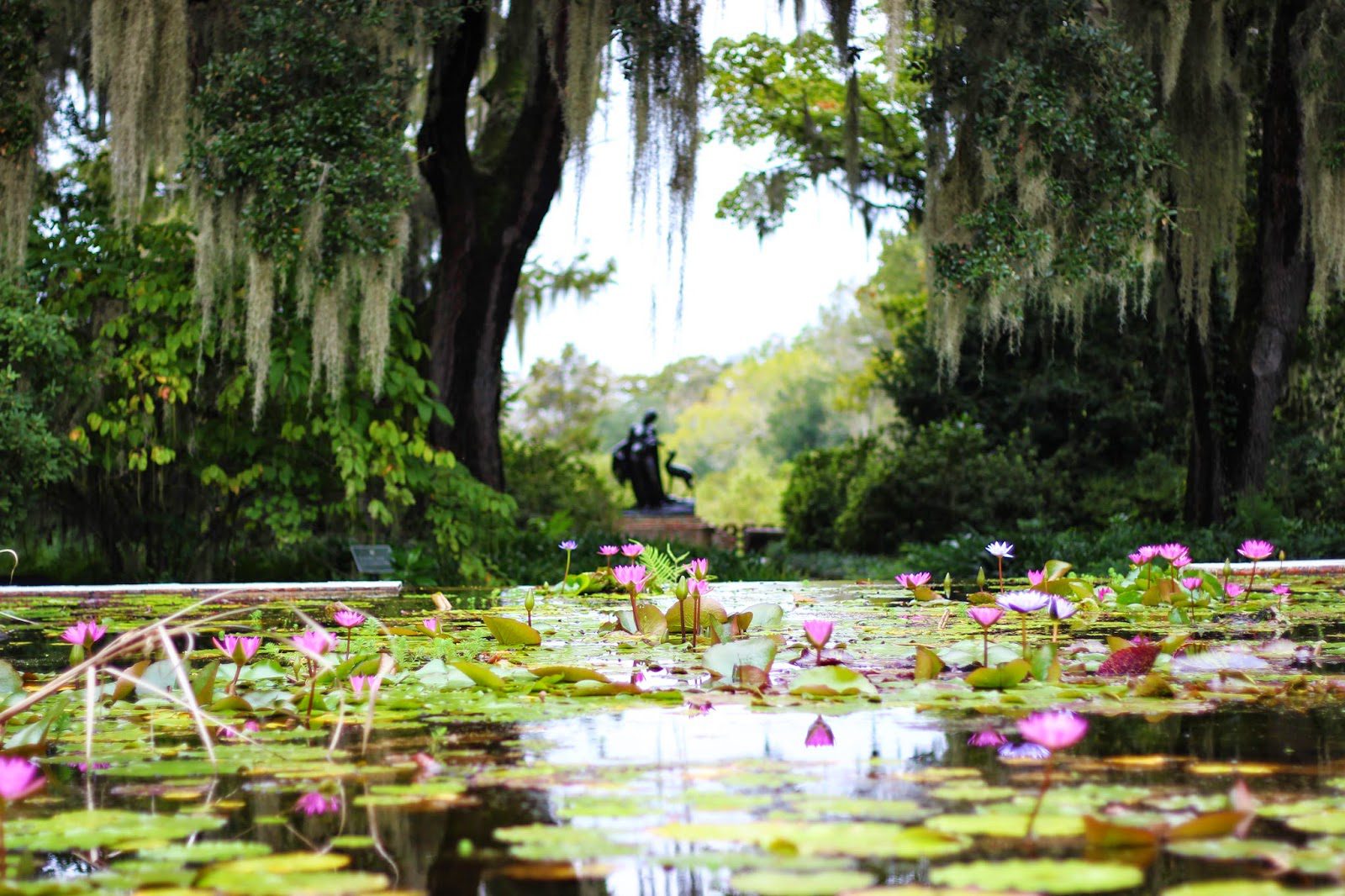 Brookgreen Gardens