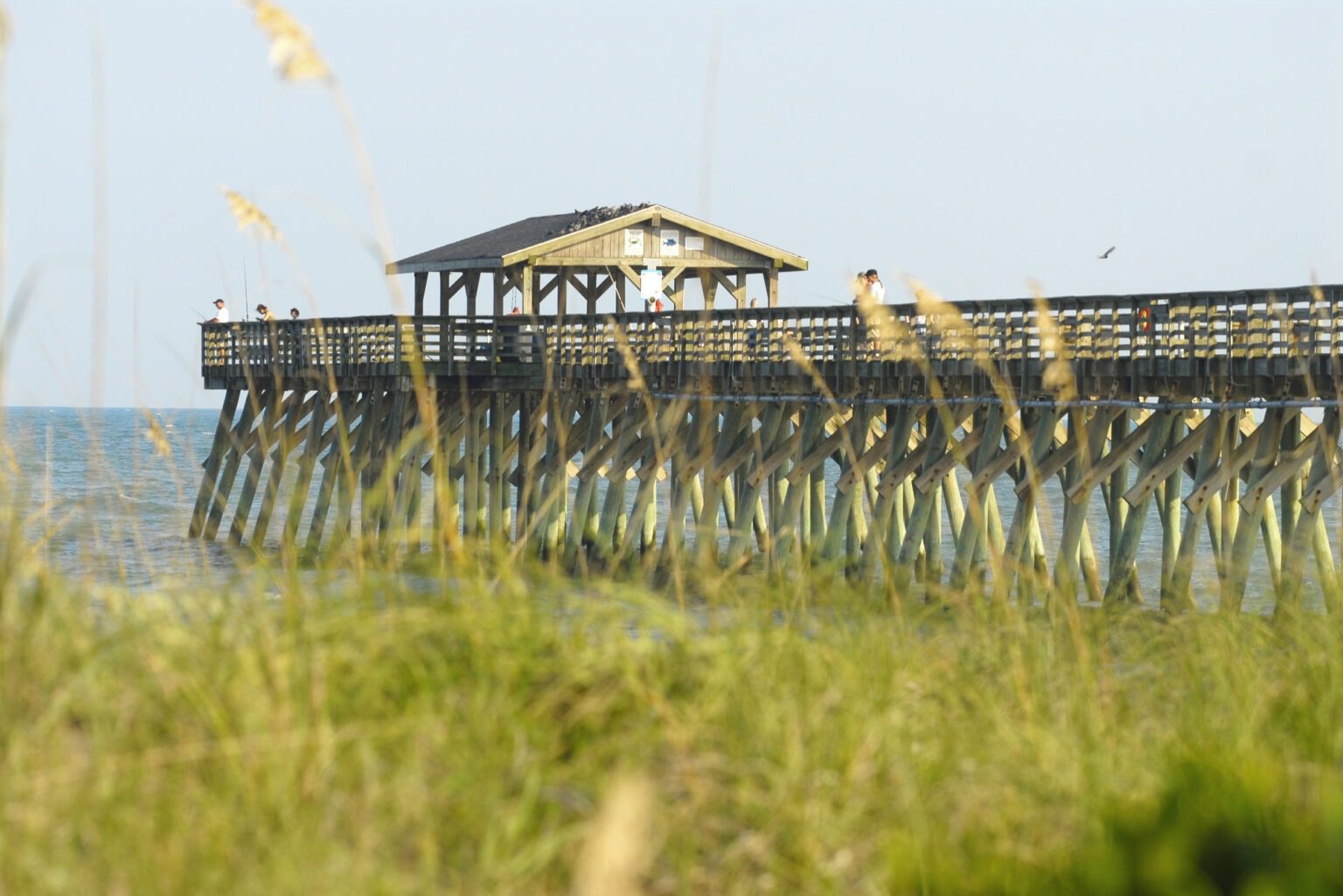Myrtle Beach State Park